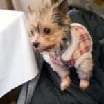 2025-01-16 15-07-00 0064