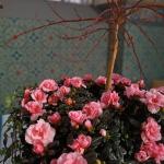 07 Letzte Vorbereitungen 013